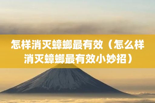 怎样消灭蟑螂最有效（怎么样消灭蟑螂最有效小妙招）