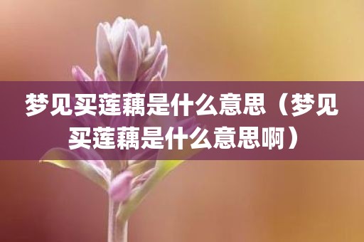 梦见买莲藕是什么意思（梦见买莲藕是什么意思啊）