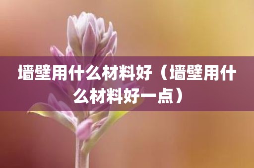 墙壁用什么材料好（墙壁用什么材料好一点）
