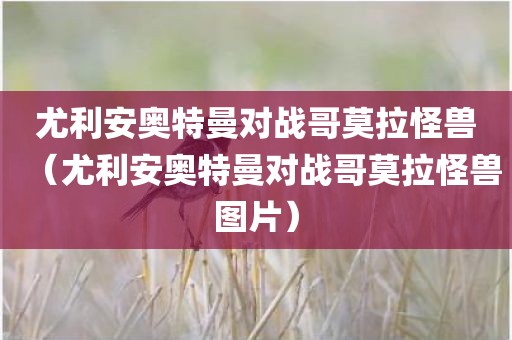 尤利安奥特曼对战哥莫拉怪兽（尤利安奥特曼对战哥莫拉怪兽图片）