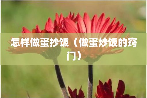 怎样做蛋抄饭（做蛋炒饭的窍门）