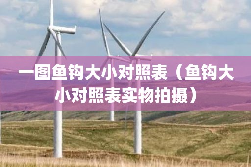 一图鱼钩大小对照表（鱼钩大小对照表实物拍摄）