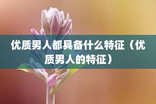 优质男人都具备什么特征（优质男人的特征）