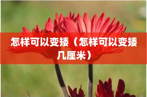 怎样可以变矮（怎样可以变矮几厘米）