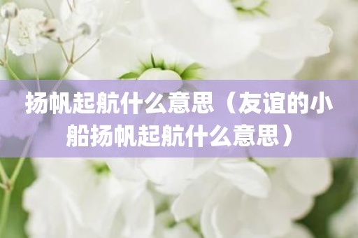 扬帆起航什么意思（友谊的小船扬帆起航什么意思）
