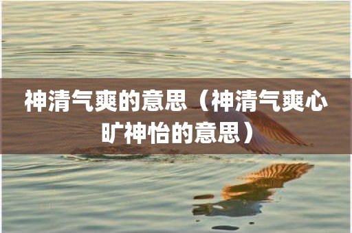 神清气爽的意思（神清气爽心旷神怡的意思）