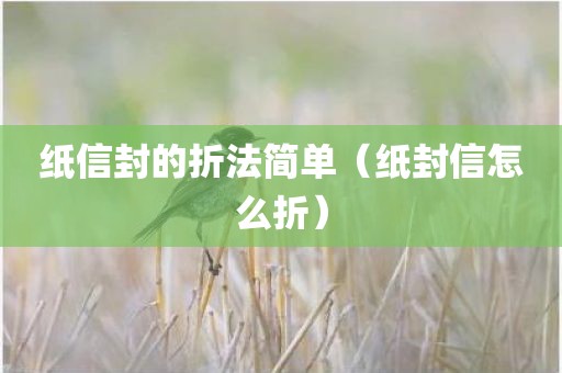 纸信封的折法简单(纸封信怎么折) 纸信封的折法简单(纸封信怎么折)