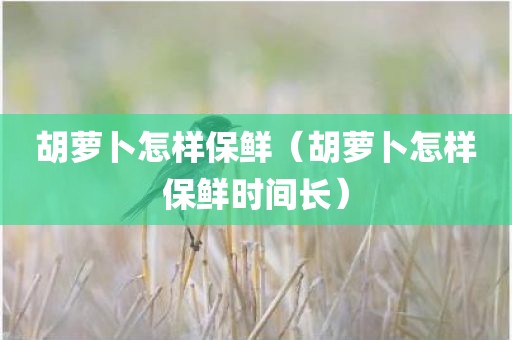 胡萝卜怎样保鲜（胡萝卜怎样保鲜时间长）