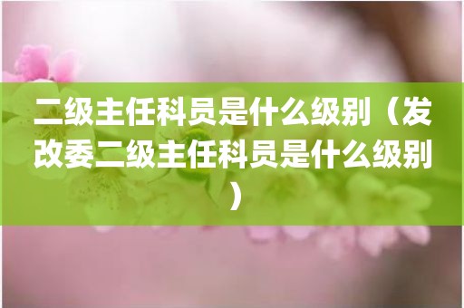 二级主任科员是什么级别（发改委二级主任科员是什么级别）