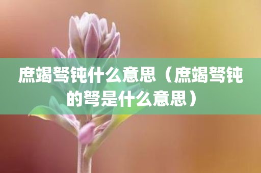 庶竭驽钝什么意思（庶竭驽钝的弩是什么意思）