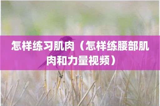 怎样练习肌肉（怎样练腰部肌肉和力量视频）