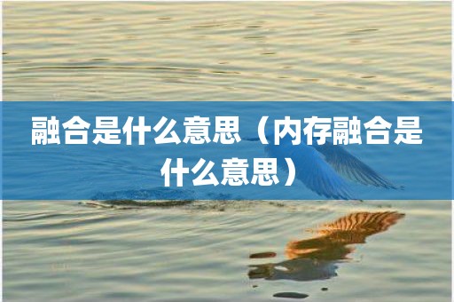融合是什么意思（内存融合是什么意思）