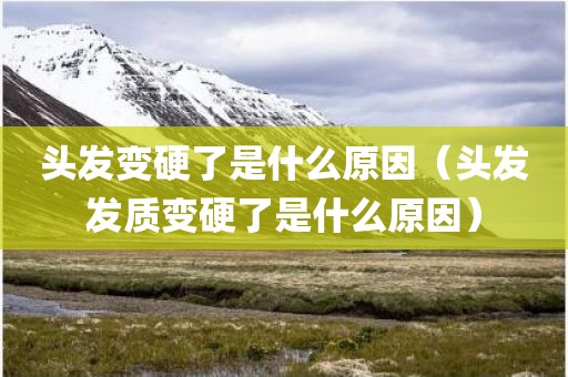 头发变硬了是什么原因（头发发质变硬了是什么原因）