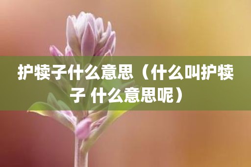 护犊子什么意思（什么叫护犊子 什么意思呢）