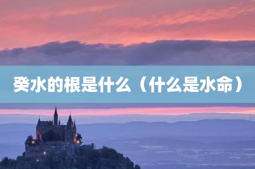 癸水的根是什么（什么是水命）