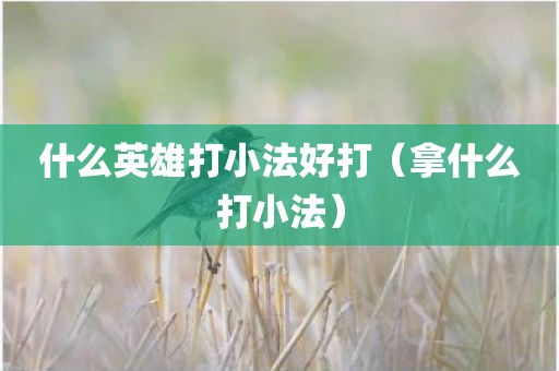 什么英雄打小法好打（拿什么打小法）