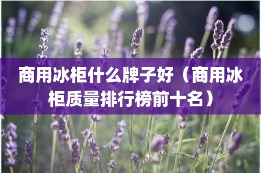 商用冰柜什么牌子好(商用冰柜质量排行榜前十名) 商用冰柜什么牌子好(商用冰柜质量排行榜前十名)
