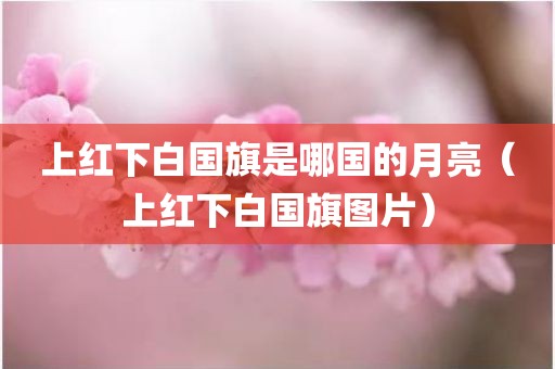 上红下白国旗是哪国的月亮（上红下白国旗图片）