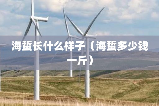 海蜇长什么样子（海蜇多少钱一斤）