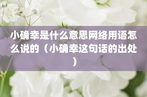 小确幸是什么意思网络用语怎么说的（小确幸这句话的出处）