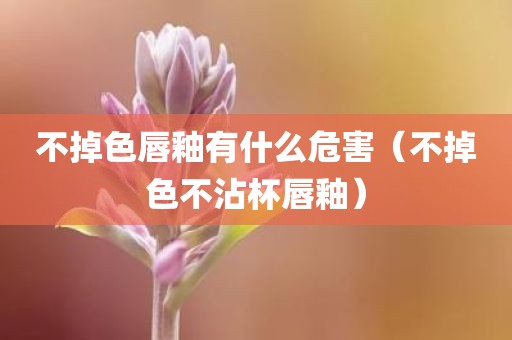 不掉色唇釉有什么危害（不掉色不沾杯唇釉）
