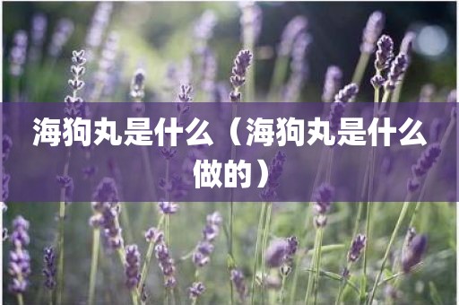 海狗丸是什么（海狗丸是什么做的）
