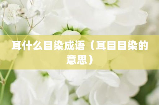 耳什么目染成语（耳目目染的意思）