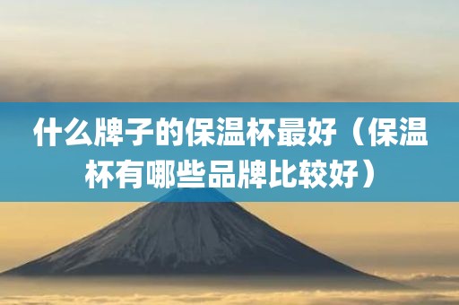 什么牌子的保温杯最好（保温杯有哪些品牌比较好）