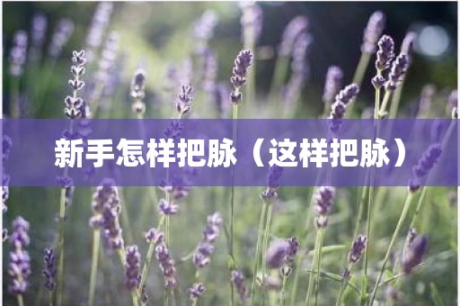 新手怎样把脉（这样把脉）
