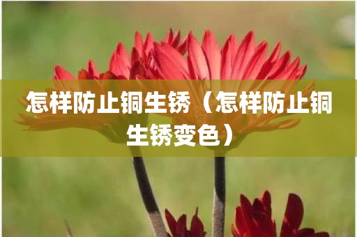 怎样防止铜生锈（怎样防止铜生锈变色）