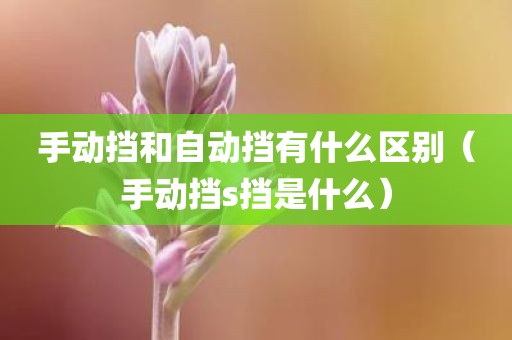 手动挡和自动挡有什么区别（手动挡s挡是什么）