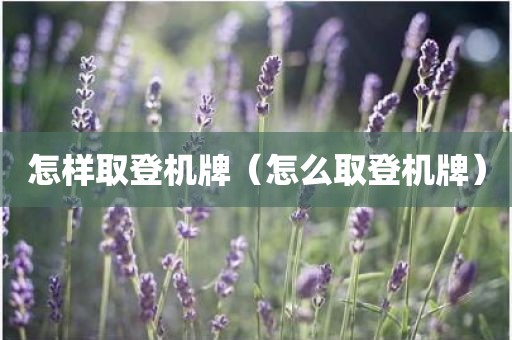 怎样取登机牌（怎么取登机牌）