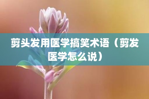 剪头发用医学搞笑术语（剪发医学怎么说）
