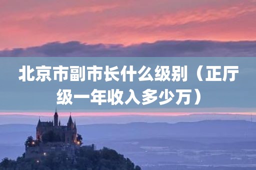 北京市副市长什么级别（正厅级一年收入多少万）