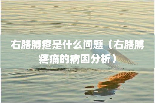 右胳膊疼是什么问题（右胳膊疼痛的病因分析）