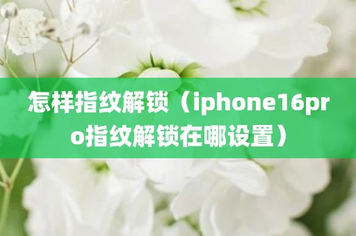 怎样指纹解锁（iphone16pro指纹解锁在哪设置）