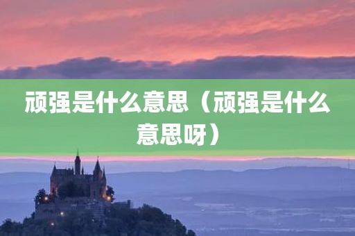 顽强是什么意思（顽强是什么意思呀）