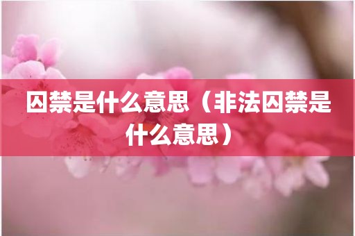 囚禁是什么意思（非法囚禁是什么意思）