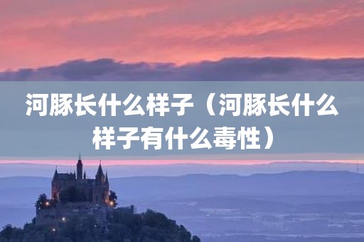 河豚长什么样子（河豚长什么样子有什么毒性）