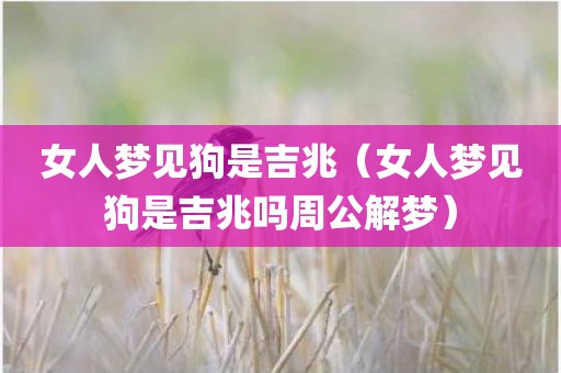 女人梦见狗是吉兆（女人梦见狗是吉兆吗周公解梦）