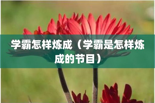 学霸怎样炼成（学霸是怎样炼成的节目）