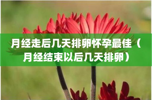 月经走后几天排卵怀孕最佳(月经结束以后几天排卵)