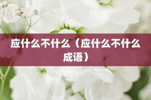 应什么不什么（应什么不什么成语）