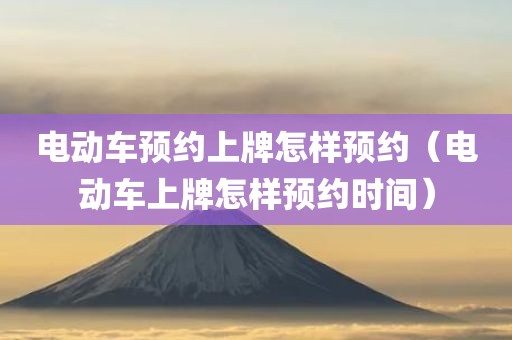 电动车预约上牌怎样预约（电动车上牌怎样预约时间）