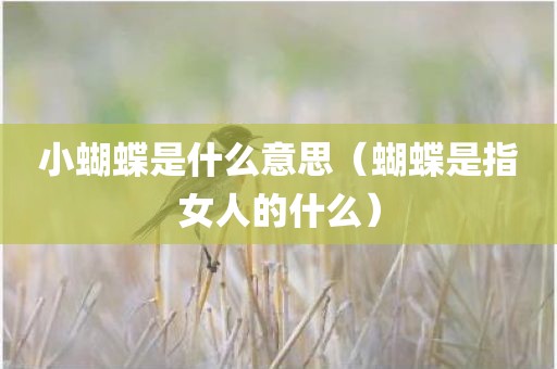 小蝴蝶是什么意思（蝴蝶是指女人的什么）