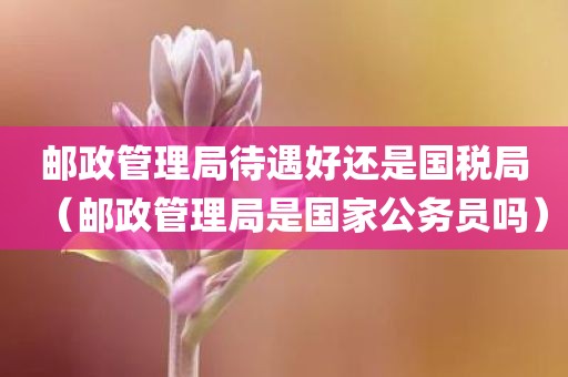 邮政管理局待遇好还是国税局（邮政管理局是国家公务员吗）