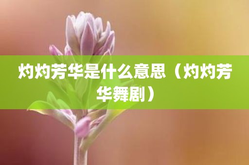 灼灼芳华是什么意思（灼灼芳华舞剧）