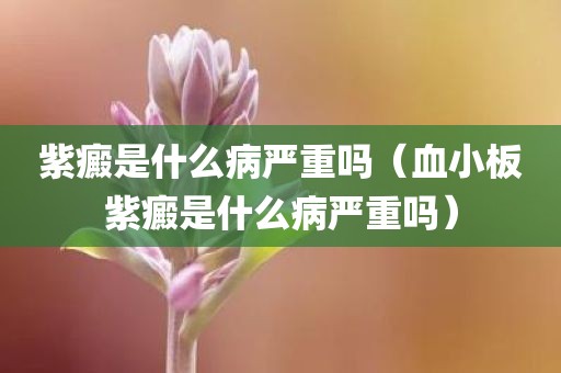 紫癜是什么病严重吗（血小板紫癜是什么病严重吗）