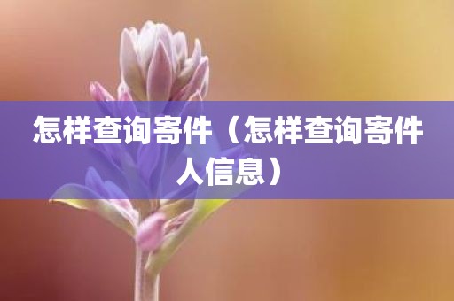 怎样查询寄件（怎样查询寄件人信息）