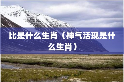 比是什么生肖（神气活现是什么生肖）